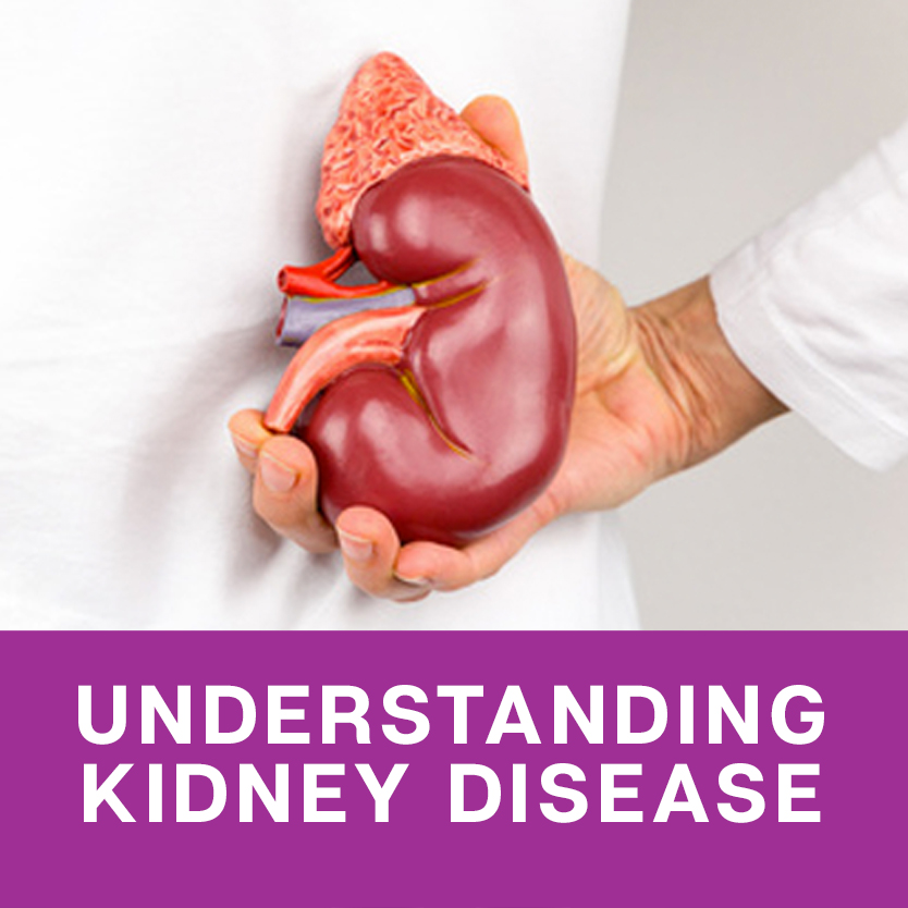 why-does-diabetes-affect-the-kidneys-diabeteswalls